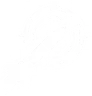 Critical Strike